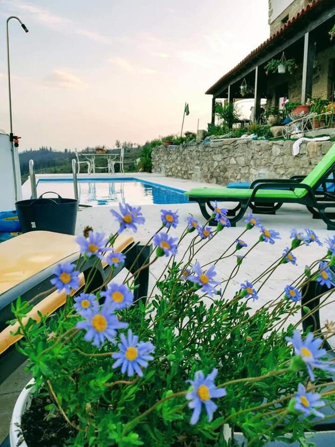 Quinta Do Cavaleiro Ao Sol - Um Lugar Ao Sol Vendégház Catraia de Sao Paio Kültér fotó